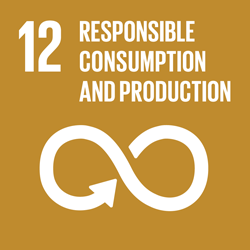 Responsible consumption and production - Goal 12